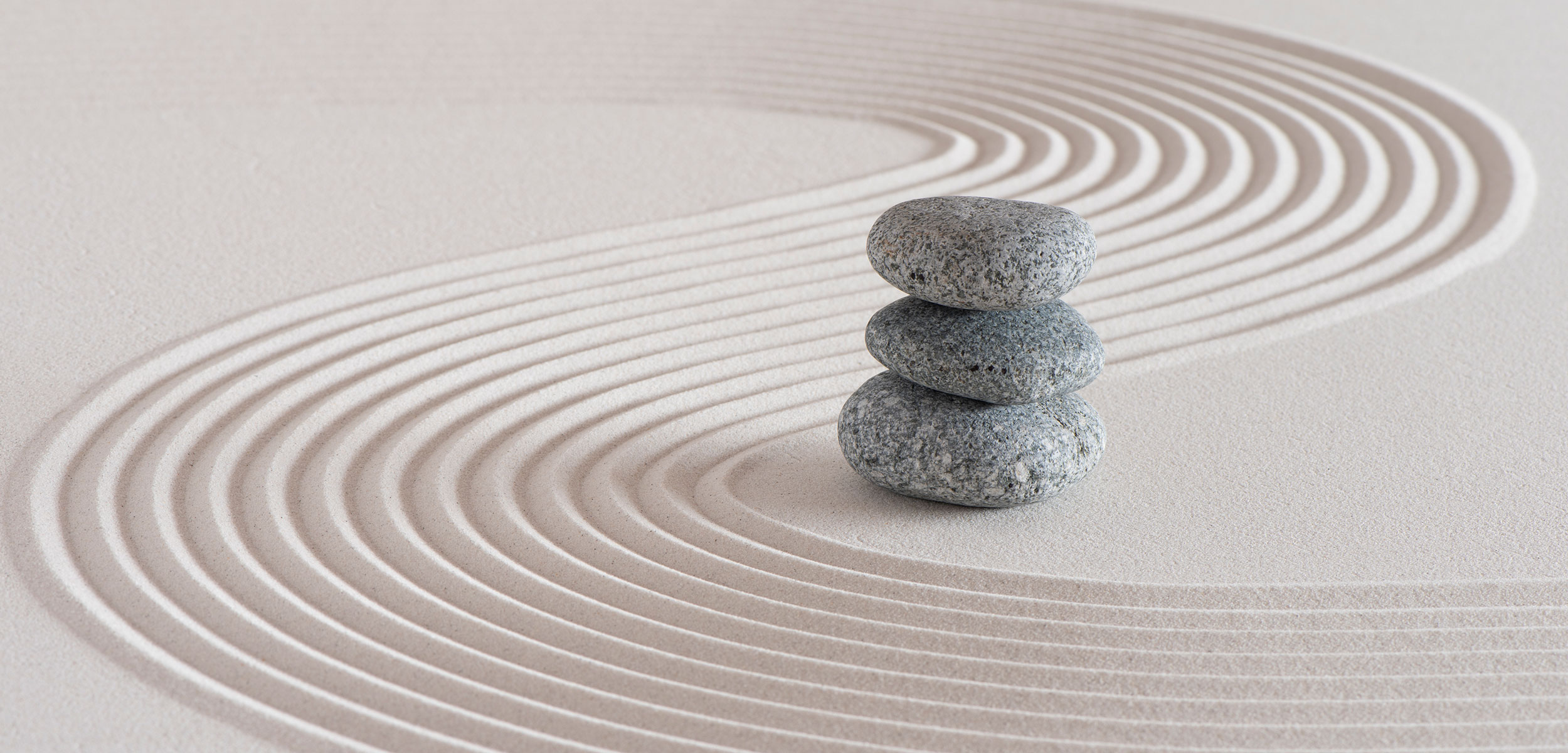 Slider - Bioresonanz