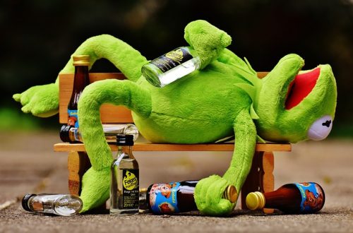 Frosch-betrunken-mit Alkoholflaschen-liegend